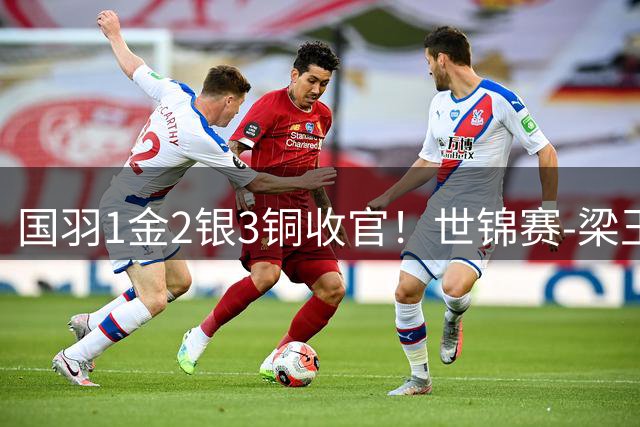 国羽1金2银3铜收官！世锦赛-梁王组合2-0马来西亚组合 男双夺冠