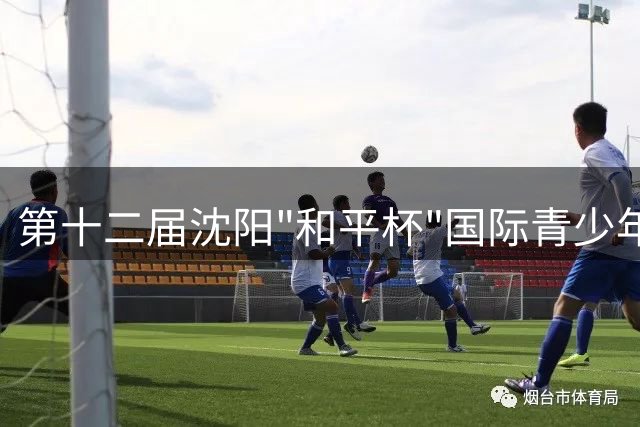 第十二届沈阳"和平杯"国际青少年足球赛正式启动