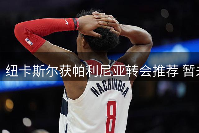 纽卡斯尔获帕利尼亚转会推荐 暂未开启实质谈判