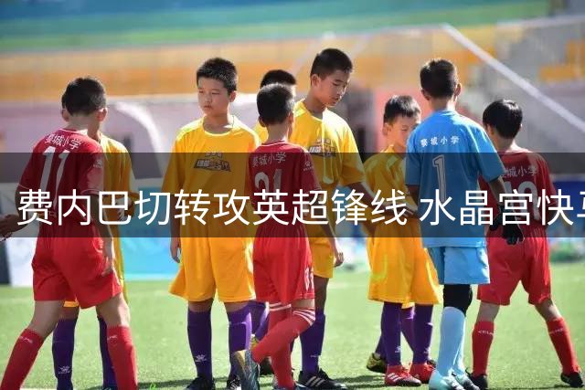 费内巴切转攻英超锋线 水晶宫快马萨尔或登陆土超